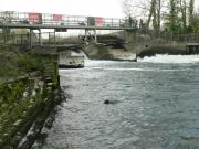 Sutton Courtenay weirs on The River Thames, England.