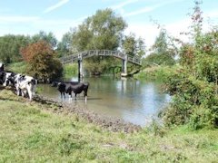 Old Mans Bridge located near to Radcot Lock on The Thames Path in England.